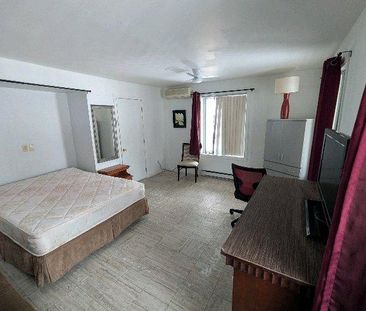 grande chambre avec un bureau - Photo 3