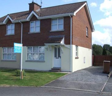 3 bedroom property to rent in Craigavon - Photo 3