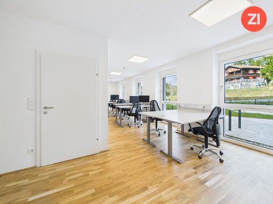 *Über der Nebelgrenze* 3- Zimmer Wohnung mit Terrasse und Garten - Photo 1