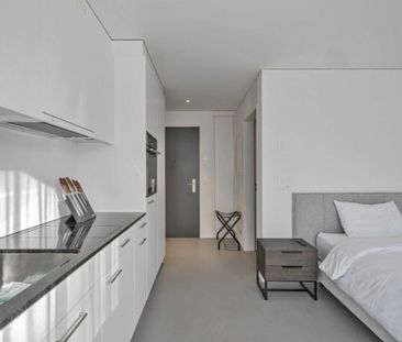 Vollmöbliertes BASIC Apartment - 25 m2 Kopie - Foto 1