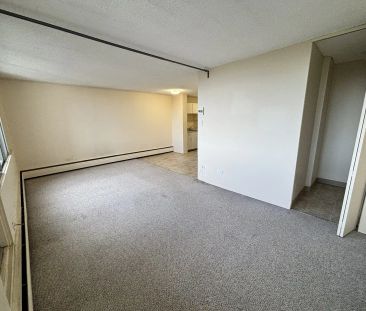 Cityview Tower — Studio - Photo 2
