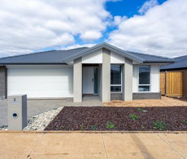 Room 1/3 Linkage Street, Bonshaw - Photo 6