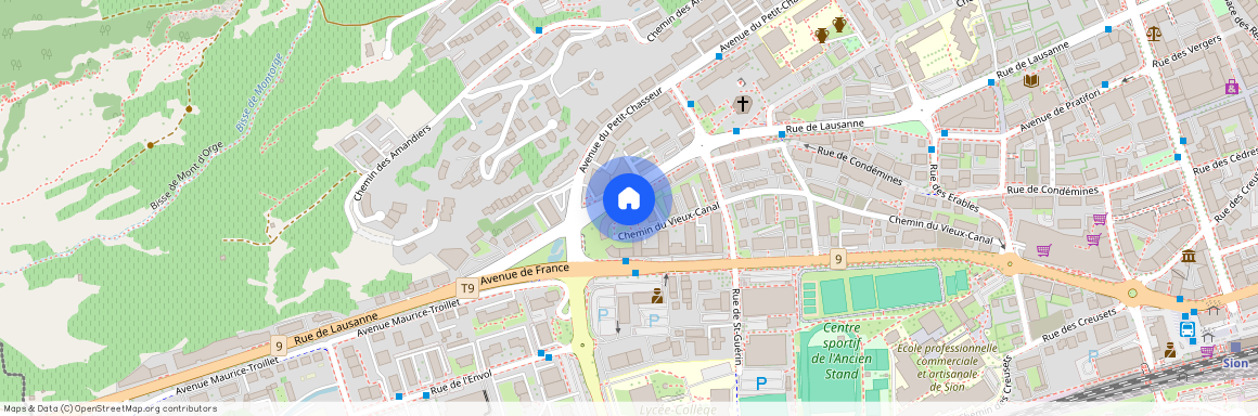 Rue de Lausanne 87, 1950, Sion