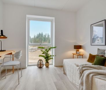 Gødvadgårdsvej 3, 2. 4., 8600 Silkeborg - Foto 5