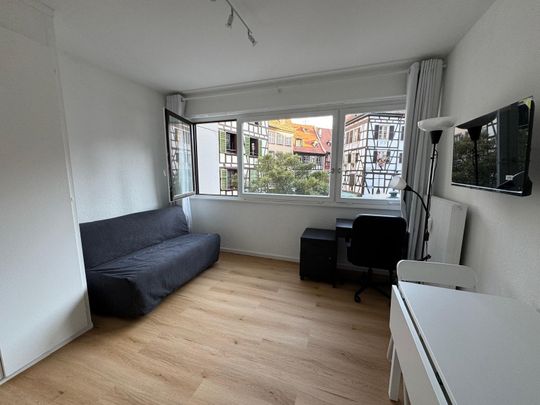 Location Appartement 1 pièce 20m² STRASBOURG 67000 - Photo 1