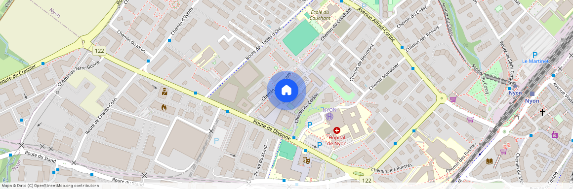 Chemin des Saules 12A, 1260 Nyon