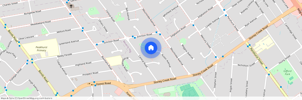 25 Austin Avenue, NSW 2209, Beverly Hills