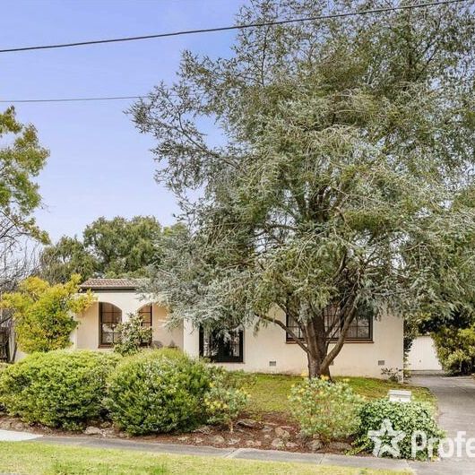 4 Amaroo Court, Burwood East VIC 3151 - Photo 1