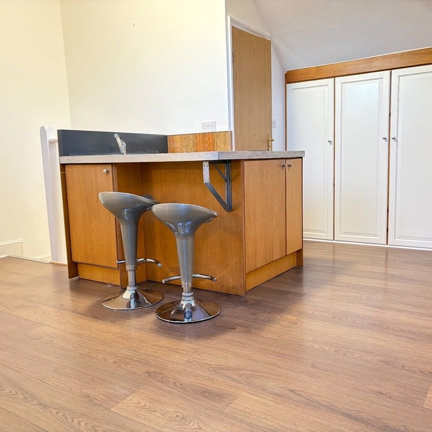 Studio Flat, Very Near Gunnersbury Gardens Area, W3 - Photo 1
