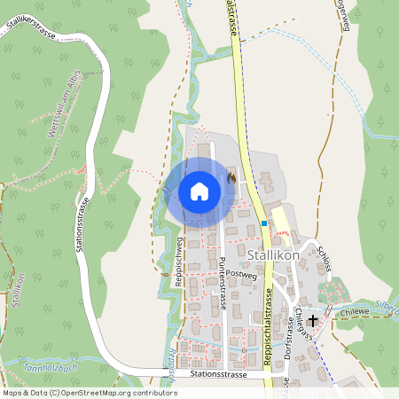 8143, Stallikon, Püntenstrasse, 41