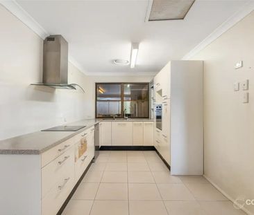 Central location - Photo 6