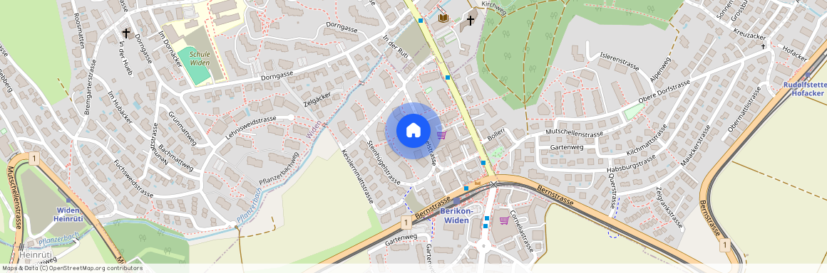 8965, Berikon, Steinhügelstrasse, 12