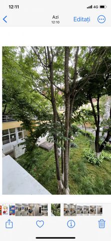 Obor iancului iulia hasdeu feridnand - Fotografie 5