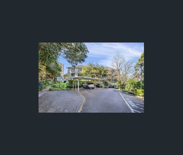 Renovated and Spacious Apartment in Peaceful Location - Photo 5