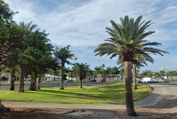 Palmas de Gran Canaria (Las), Canary Islands