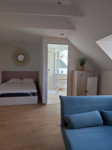 Appartement Douarnenez 1 pièce 19.12m2 - Photo 2