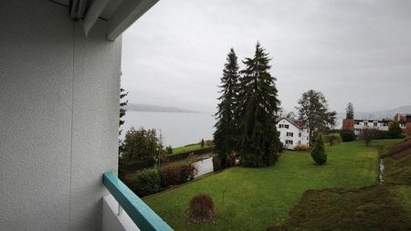 Helle neu sanierte Wohnung mit Seesicht und Seeplatz zur Mitbenutzung - Foto 4