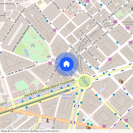 Avinguda de Pau Casals, Barcelona, Catalonia 08021