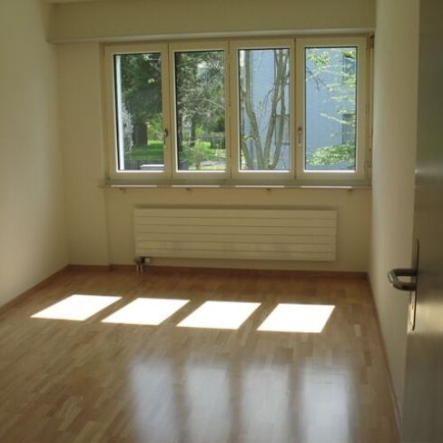 Living between the lake and the city - Photo 1