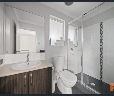 Walk your dog to the beach! - Photo 5