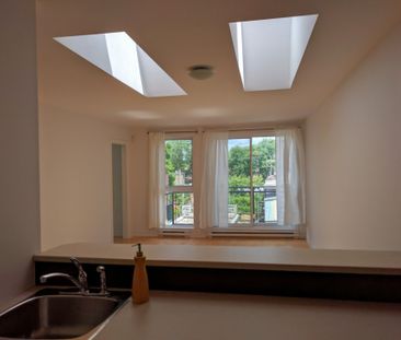 Appartement à louer - Montréal (Rosemont/La Petite-Patrie) (Vieux-R... - Photo 5