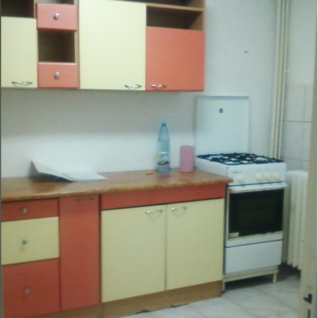 1 room apartment for rent Iasi Center - Photo 3