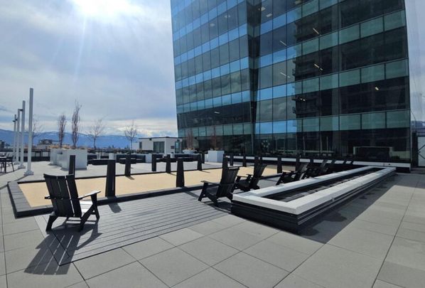 Blissful Views at Bertram – 12th Floor! - Photo 1