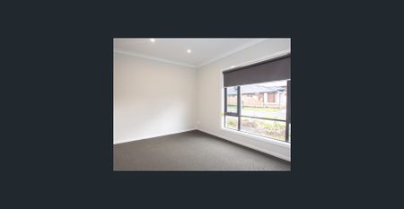 MODERN MONDO - Photo 2