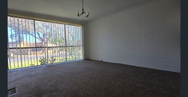 Spacious 3-Bed Home with large backyard - Photo 1