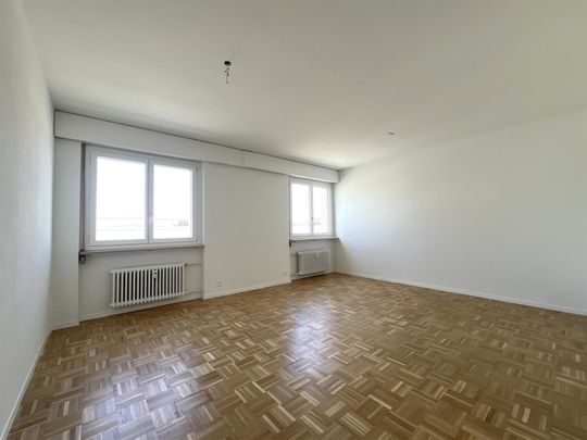 Wohnen mit Stil - grosszügige Attikawohnung im Geissmattquartier - Foto 1