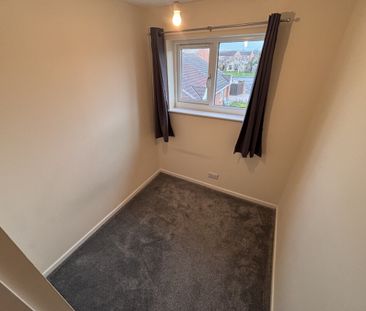 St. Anthony Avenue - Photo 4