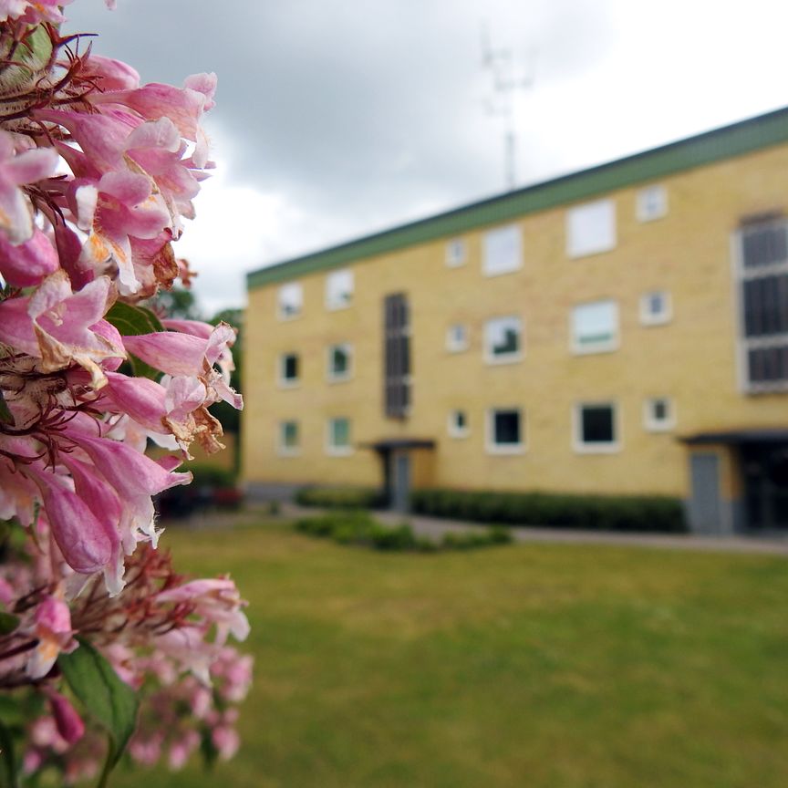 Skepparvägen 1 A - Foto 1