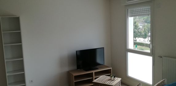 Appartement 1 pièce - Photo 2