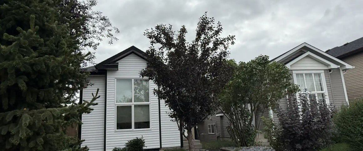 Bright & Updated Little House in Country Hills NW — 2 Bedrooms House - Photo 1