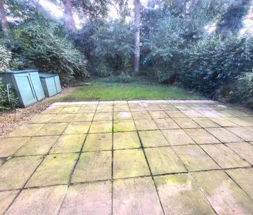 2 bedroom mews to rent - Photo 6