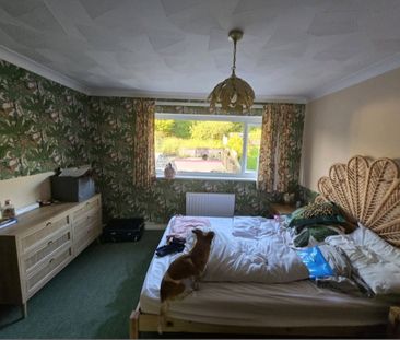 Room in a Shared House, Swanborough Drive, BN2 - Photo 2