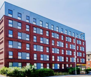 Superior Studio - Photo 6