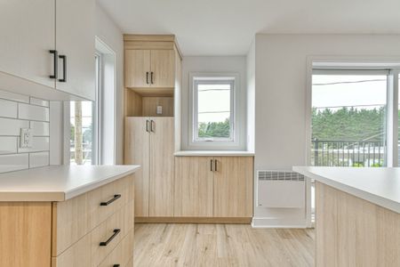 439 Rue Bellevue, app.202, J0T 2C0, J0T 2C0, Saint - Photo 3