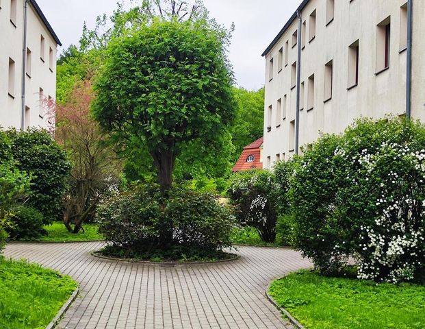 3-Raum-Wohnung - Photo 1