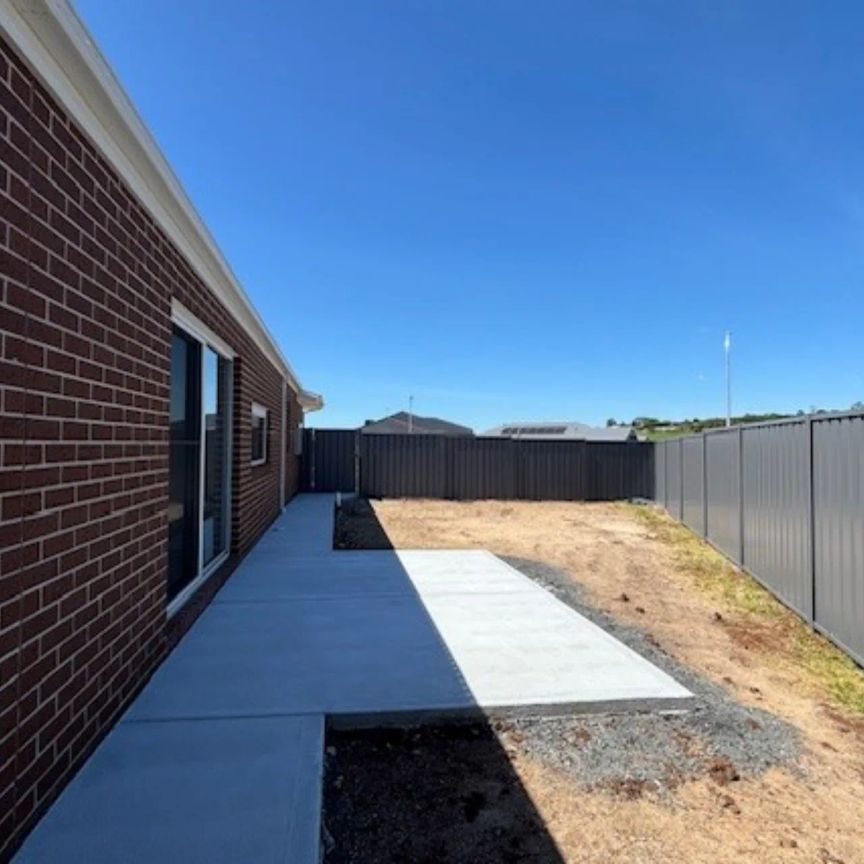 Stunning & Brand New - Photo 1