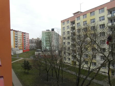 Pronájem bytu 2+kk 39 m² - Photo 4
