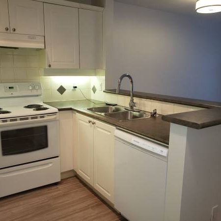 1 bed/1 bath apartment with covered balcony & 1 parking - Photo 3