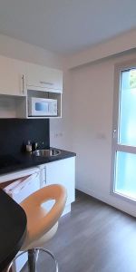 Location Appartement 1 pièce 26m² TOURS 37000 - Photo 3