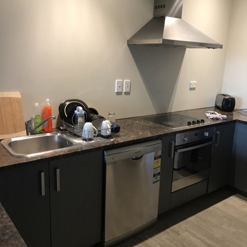 Superior Studio Complex for 2026 - Photo 1