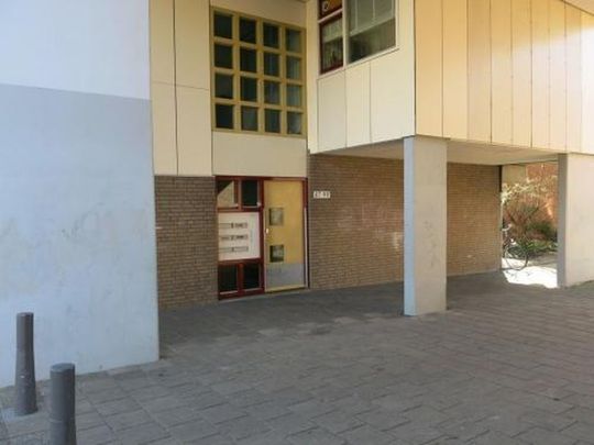 Schollevaartse Dreef 3068 KK Rotterdam - Foto 1