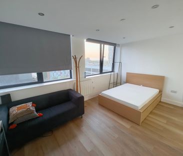 Studio Flat, Talbot Road, M16 - Photo 3