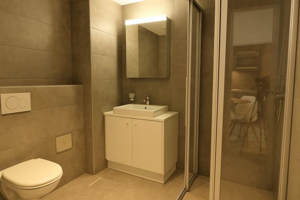 Studio moderne et lumineux à louer dès le 1er octobre 2025 - Foto 1