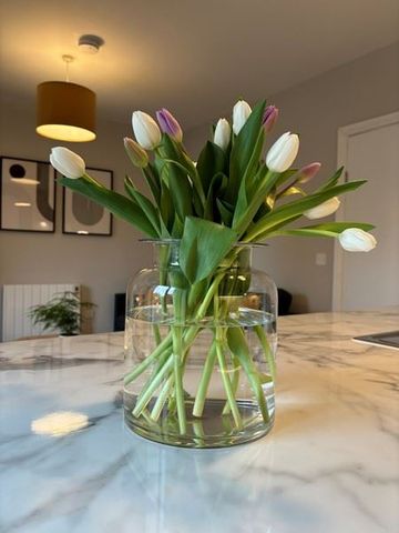 South Lotts Road, Dublin 4 - Photo 5