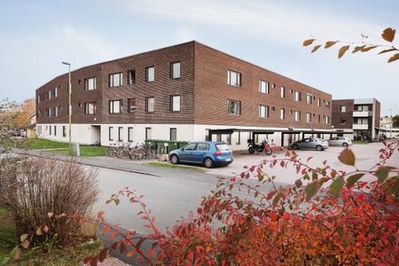 Framnäsgatan 7 - Foto 5