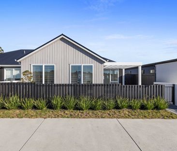 Perfect Retreat! Te Puke - Photo 4